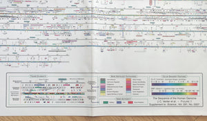 (Biology - History) Annotation of the Celera Human Gene Assembly
