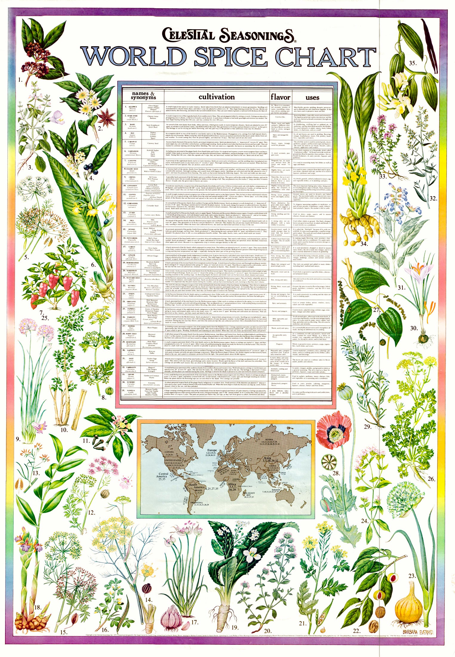 (World - Thematic) World Spice Chart