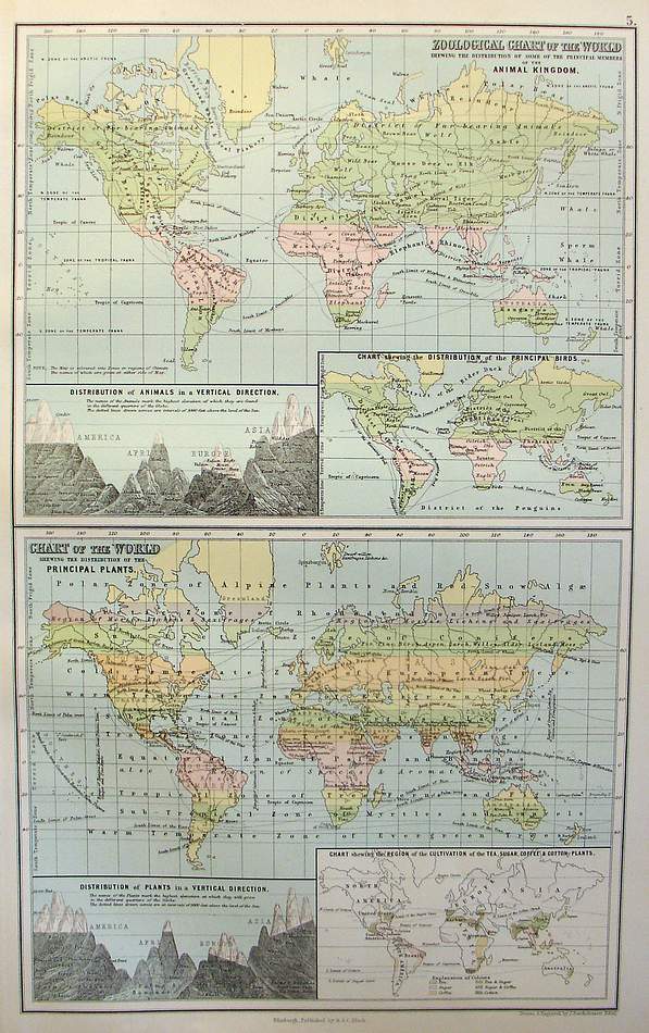 Zoological Chart of the World shewing the distribiuton of some o