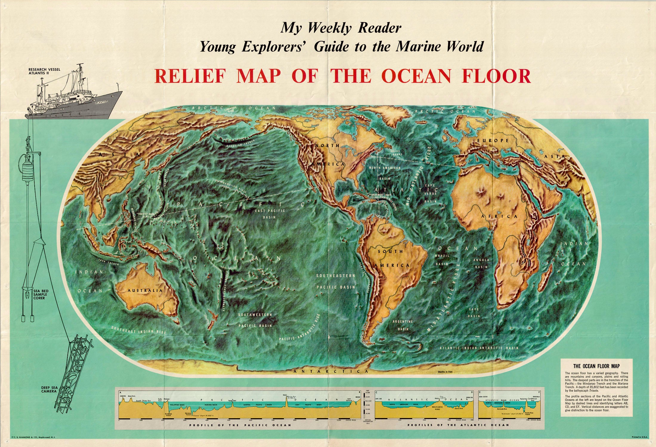 (World -Oceans) Relief Map of the Ocean Floor