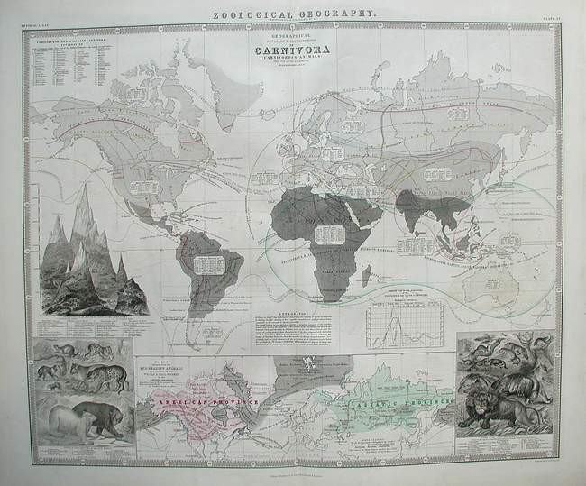Zoological Geography (World Carnivores)