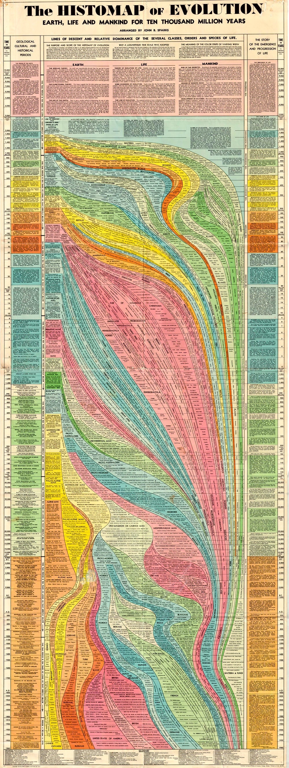 (Thematic) The Histomap of Evolution - Earth, Life and Mankind for Ten Thousand Million Years, John B. Sparks - Rand McNally, c.1955