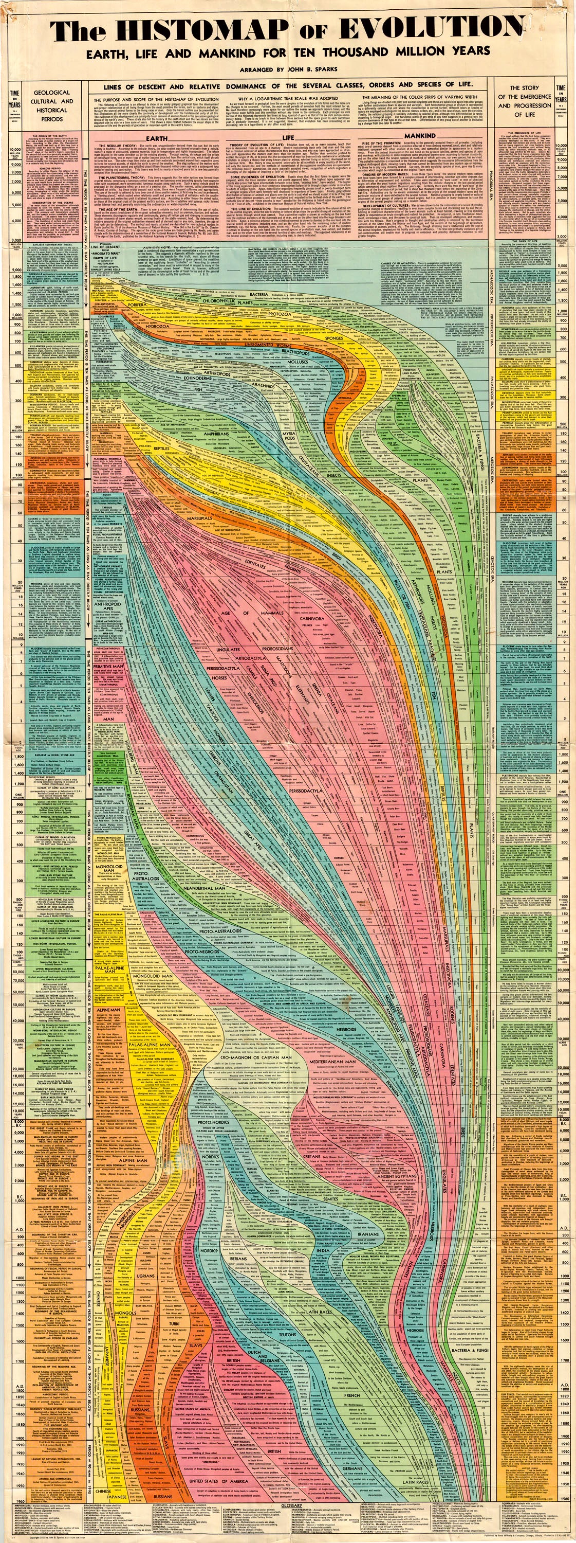 (Thematic) The Histomap Of Evolution Earth, Life and Mankind For Ten Thousand Million Years