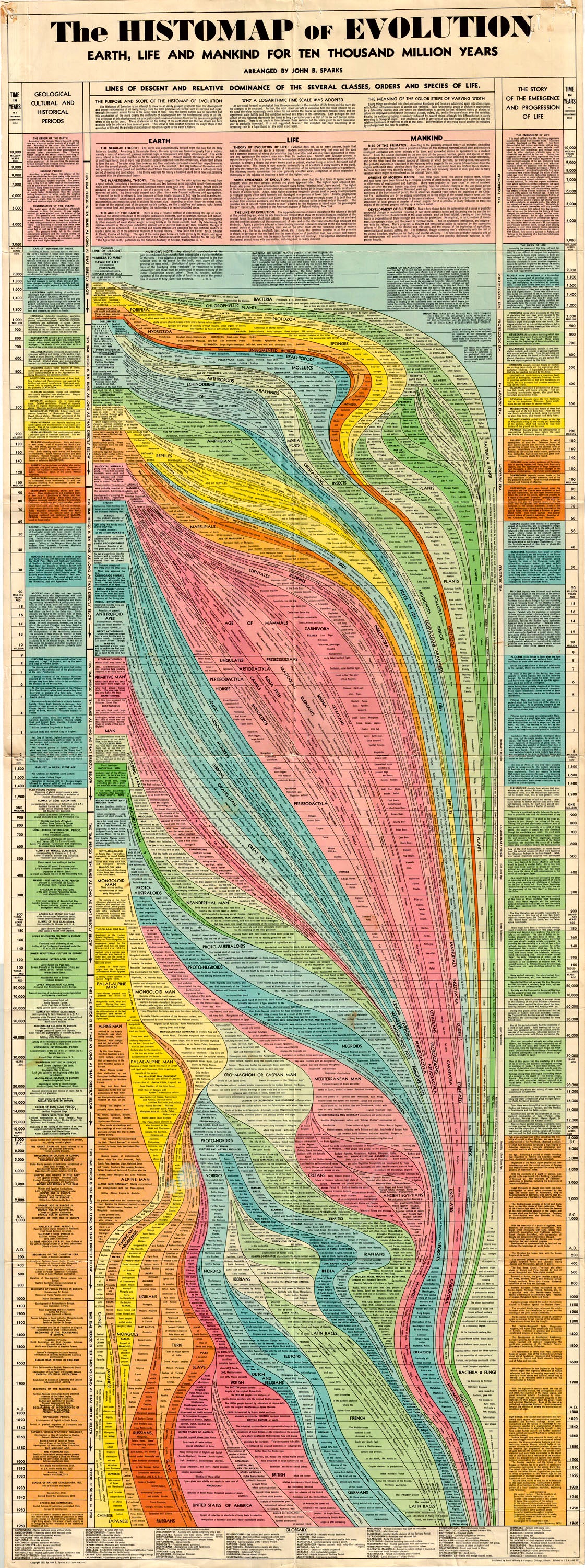 (Thematic) The Histomap Of Evolution Earth, Life and Mankind For Ten T ...