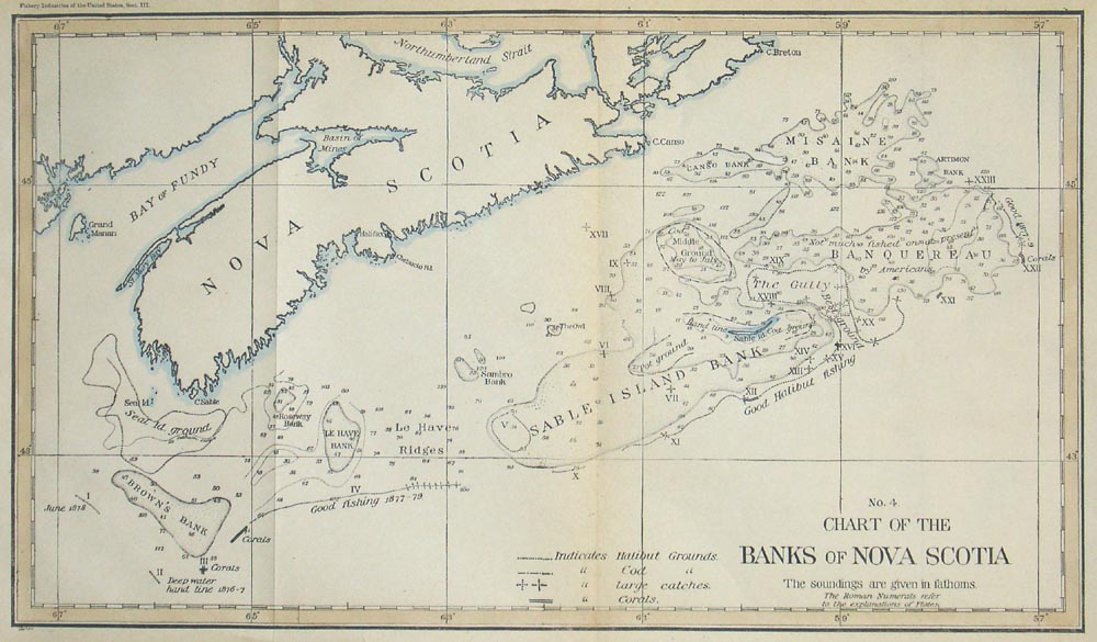 Chart of The Banks of Nova Scotia